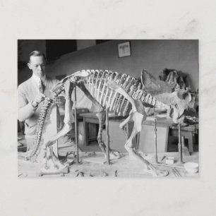 Paleontology Scientist Baby Dinosaur Vintage Postcard