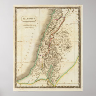 Palestine 2 poster