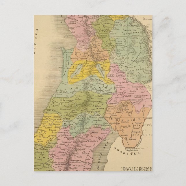 Palestine 3 postcard (Front)