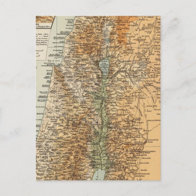 Palestine 3 postcard (Front)