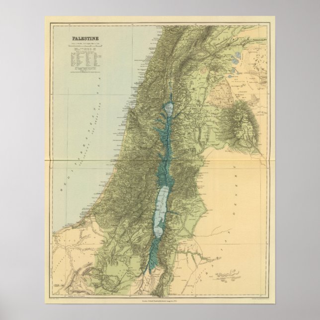 Palestine 3 poster (Front)