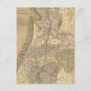 Palestine 6 postcard