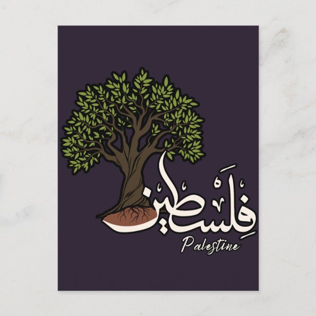 Palestine Arabic word with Palestinian Olive Tree  Postcard (Front)