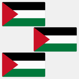 Palestine Flag