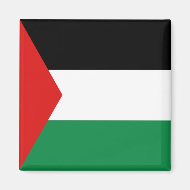 Palestine Flag Magnet (Front)