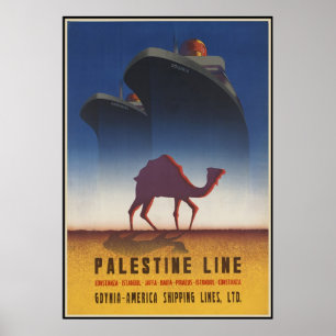 Palestine Line Poster