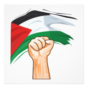Palestine Photo Print