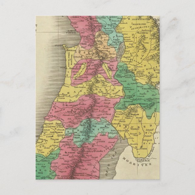 Palestine Postcard (Front)