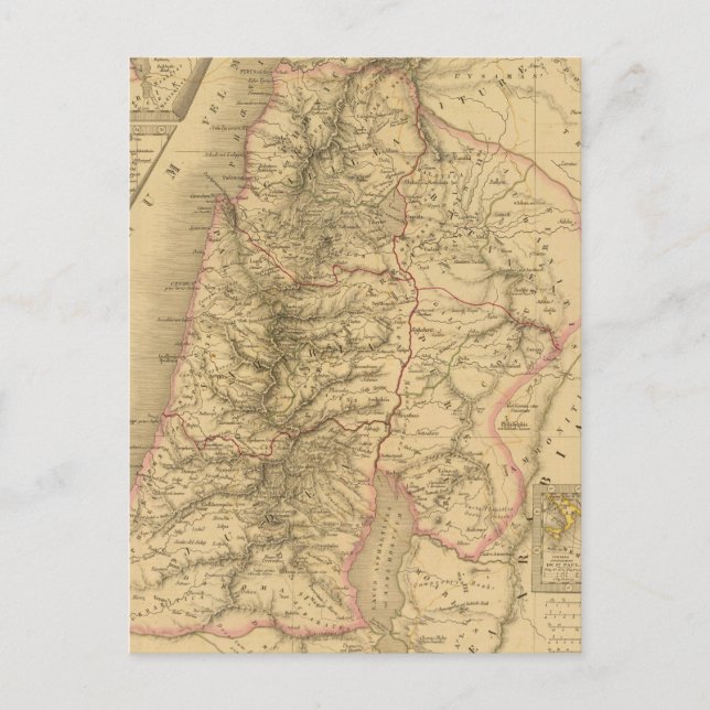 Palestine Postcard (Front)