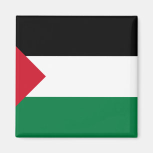 Palestine - Short Triangle, Palau flag Magnet