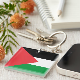 Palestine state flag acrylic key ring