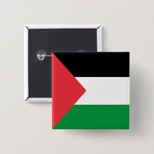 Palestinian Flag Pin
