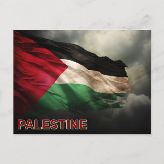Palestinian Flag Postcard