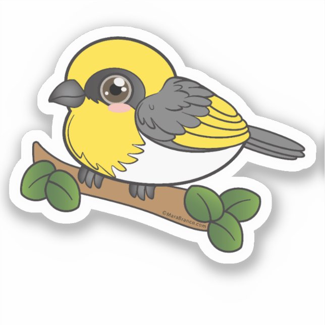 Palila Hawaii Forest Bird (Front)