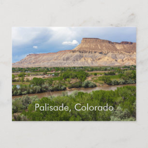 Palisade, Colorado Postcard