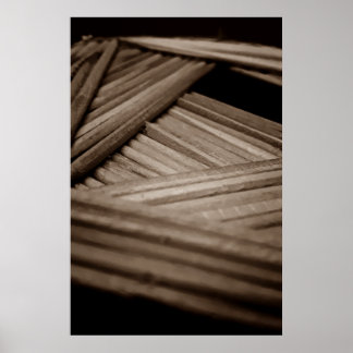 PALITES Ppass Poster