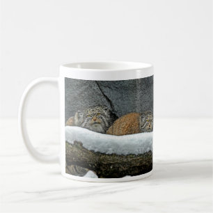 Pallas Cats Snow Mug