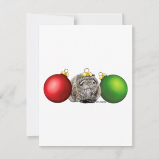 Pallas's cat - holiday card