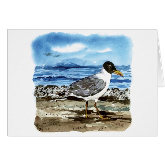 Pallas's gull (Front Horizontal)