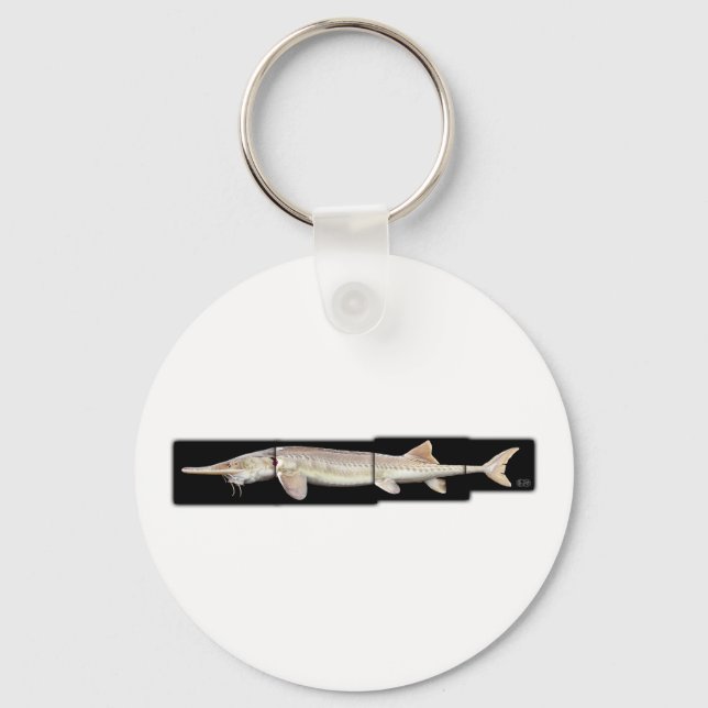 Pallid Sturgeon - Scaphirhynchus albus Key Ring (Front)
