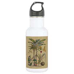 Palm Antique Tropical Fruit Botanical Art 532 Ml Water Bottle