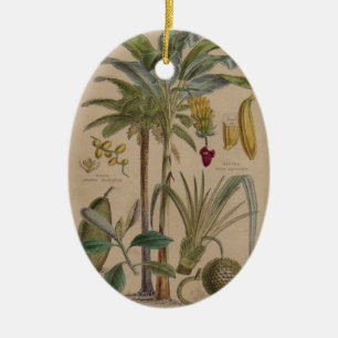 Palm Antique Tropical Fruit Botanical Art Ceramic Ornament