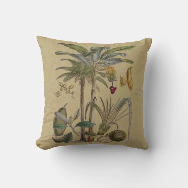 Palm Antique Tropical Fruit Botanical Art Cushion (Front)
