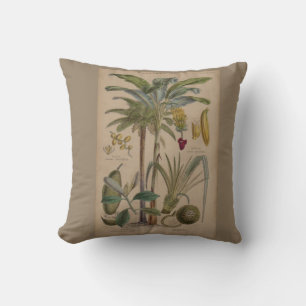 Palm Antique Tropical Fruit Botanical Art Cushion