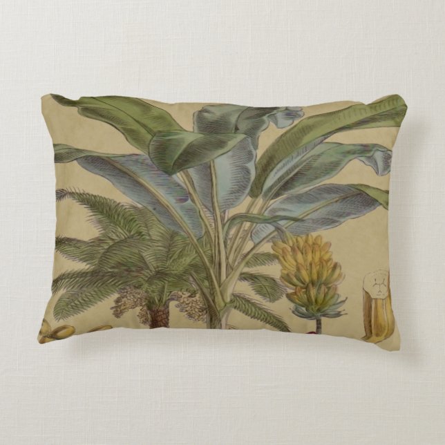 Palm Antique Tropical Fruit Botanical Art Decorative Cushion (Back)