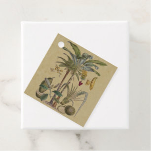 Palm Antique Tropical Fruit Botanical Art Favour Tags