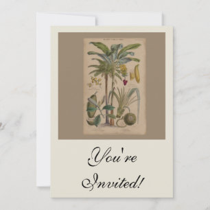 Palm Antique Tropical Fruit Botanical Art Invitation