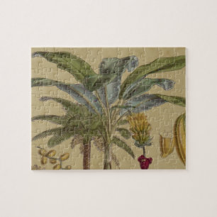 Palm Antique Tropical Fruit Botanical Art Jigsaw Puzzle