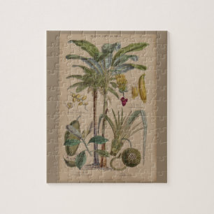 Palm Antique Tropical Fruit Botanical Art Jigsaw Puzzle
