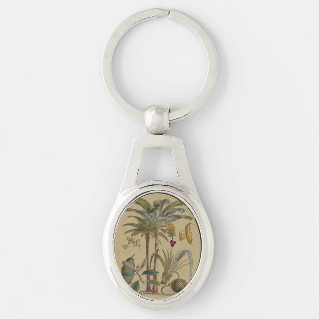 Palm Antique Tropical Fruit Botanical Art Key Ring (Front)
