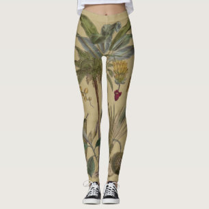 Palm Antique Tropical Fruit Botanical Art Leggings