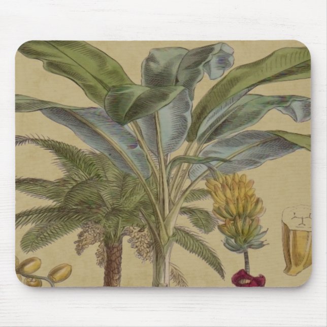 Palm Antique Tropical Fruit Botanical Art Mouse Pad (Front)