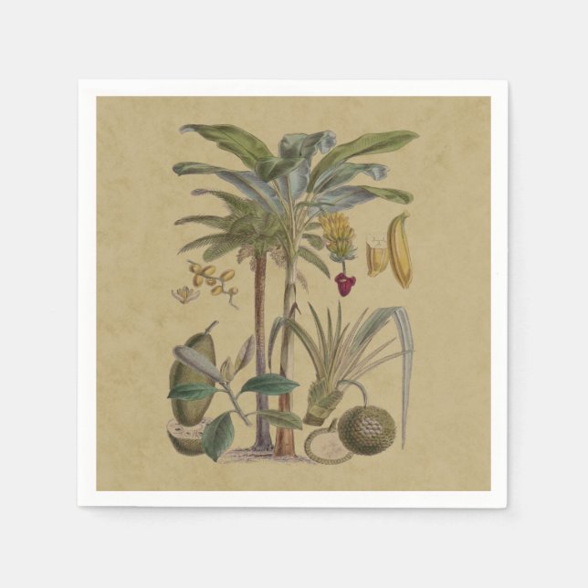 Palm Antique Tropical Fruit Botanical Art Napkin (Front)
