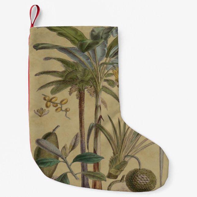 Palm Antique Tropical Fruit Botanical Art Small Christmas Stocking (Front)