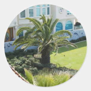 Palm At Oceanside Ca Classic Round Sticker