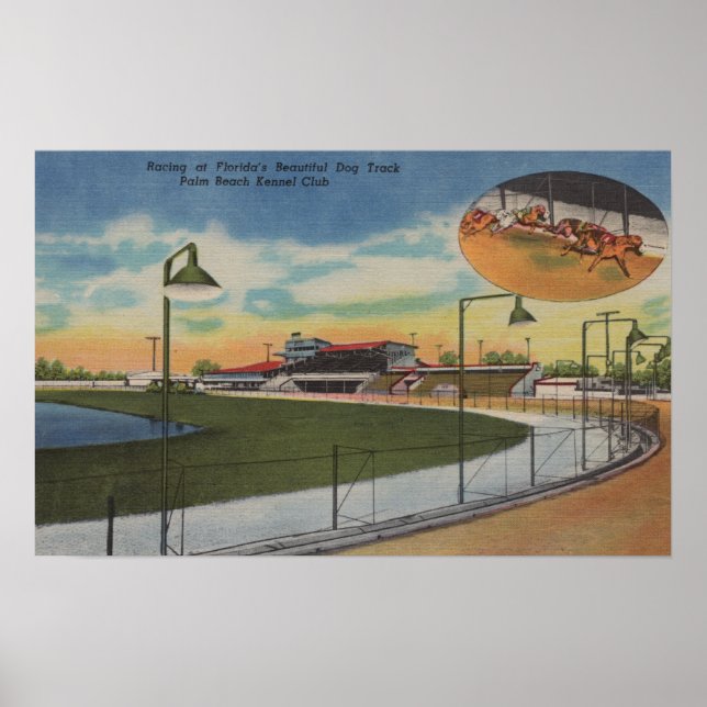 Palm Beach, FL - Kennel Club, Dog Racing Track Poster (Front)