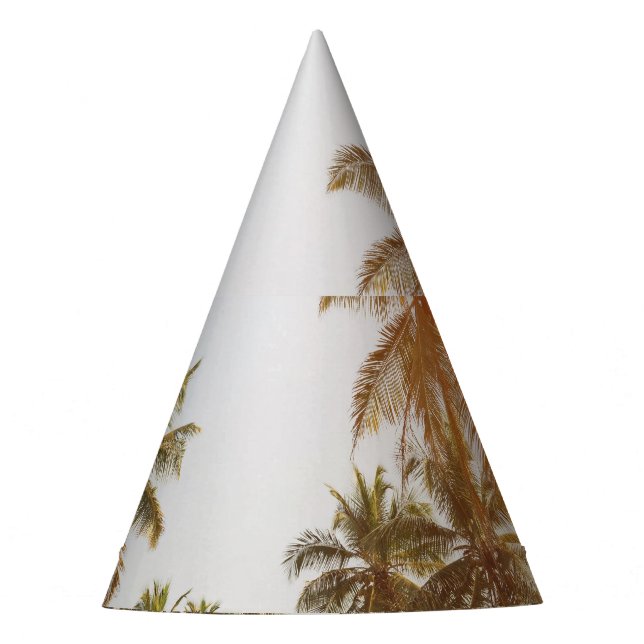 Palm Beach Scenic View Party Hat (Front)