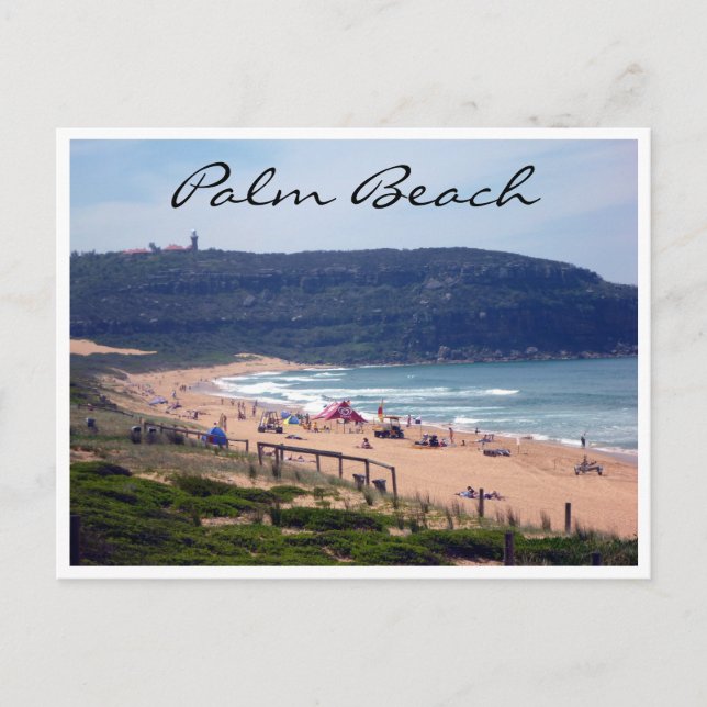 palm beach waters postcard (Front)