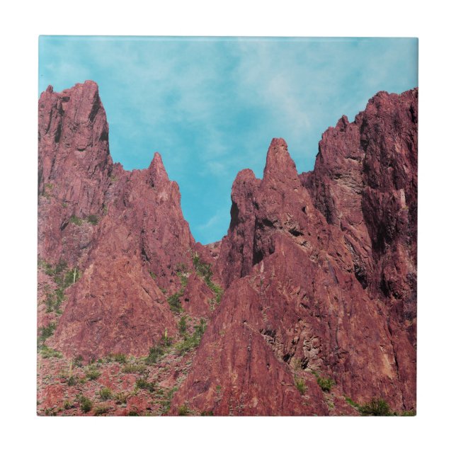 Palm Canyon Arizona Ceramic Tile (Front)