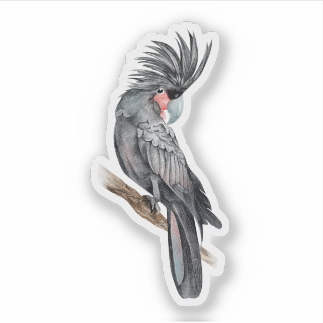 Palm Cockatoo Custom-Cut Vinyl Sticker  (Front)