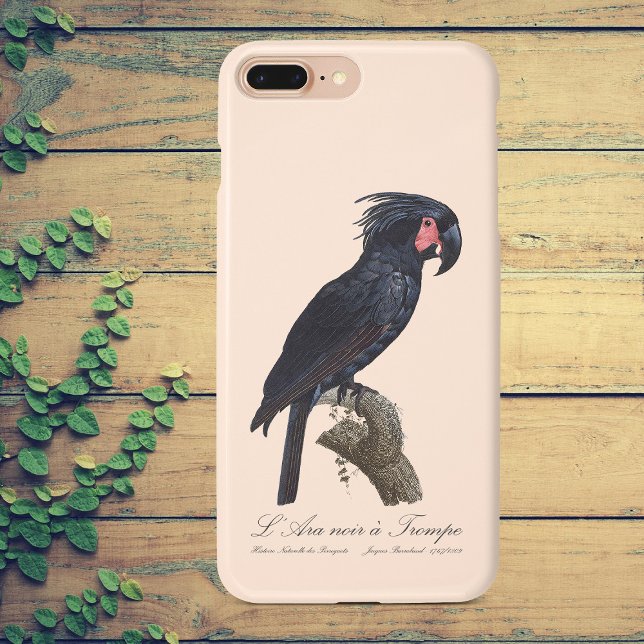 Palm Cockatoo, Probosciger aterrimus parrot, retro Case-Mate iPhone Case (L' Ara Noir a Trompe / Palm Cockatoo. iPhone Case)