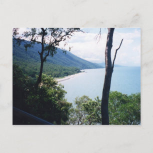 Palm Cove Postcard