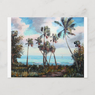 Palm Cove Postcard
