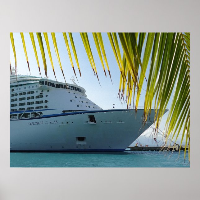 Palm Framed Bow Poster (Front)