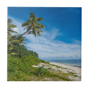 Palm Fringed Kolovai Beach Ceramic Tile