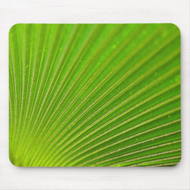 Palm Frond Green Pattern Mouse Pad (Front)